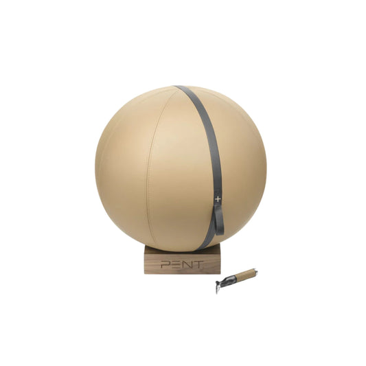 Luxury fitness equipment, fitness ball wrapped in luxurious leather and paired with a compact wooden stand. In default color settings. PENT. MESNA