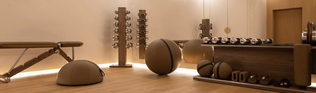 Luxury Home Gym Equipment. Customised Dumbbells. Best Kettlebells in Singapore. Best luxury gym equipment.  Designer gym.
