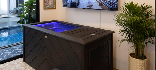 Brass monkey ice bath | Home Gym Design | Cycling Bears