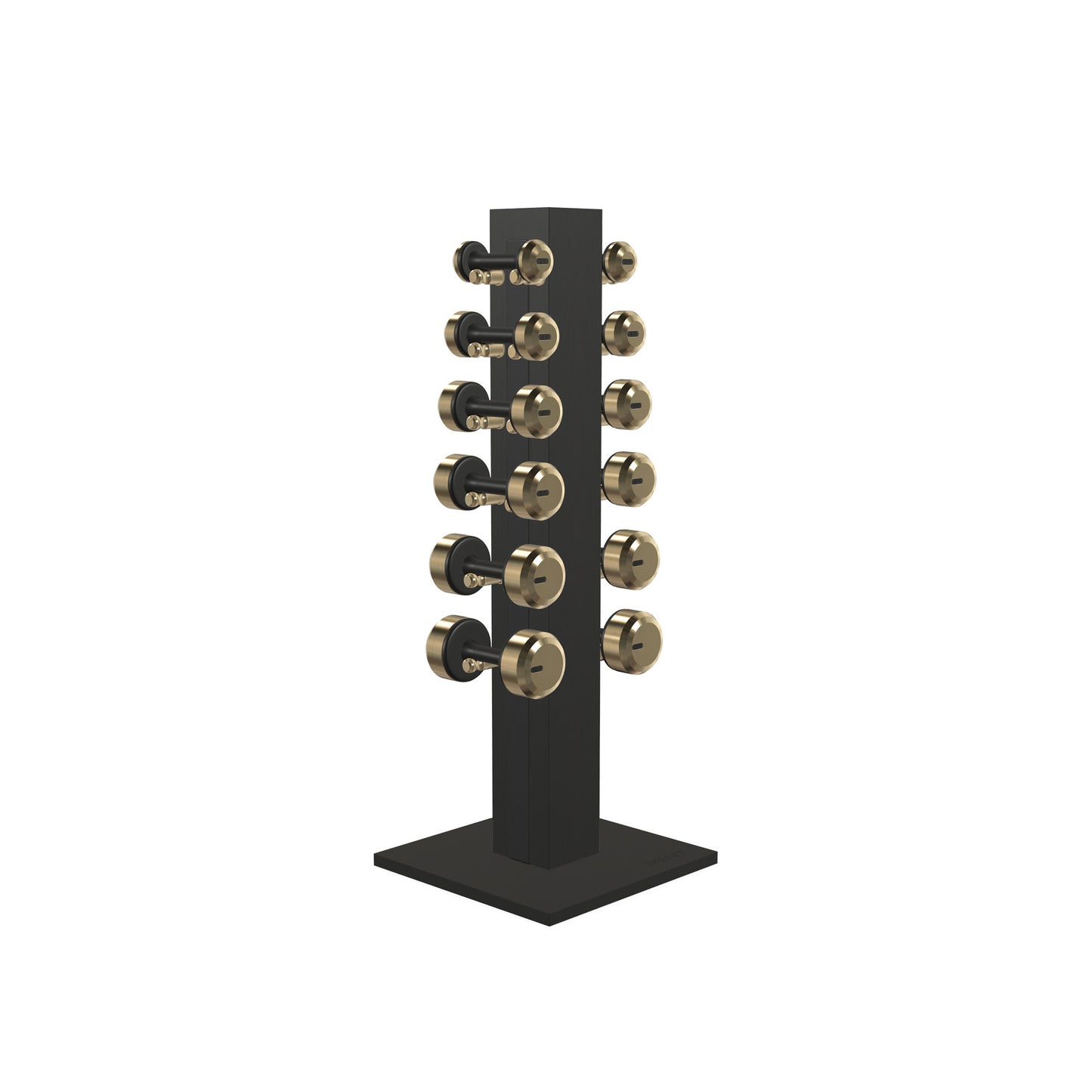 PENT. COLMIA Set - In Gold - Dumbbells on a Vertical Wooden Stand