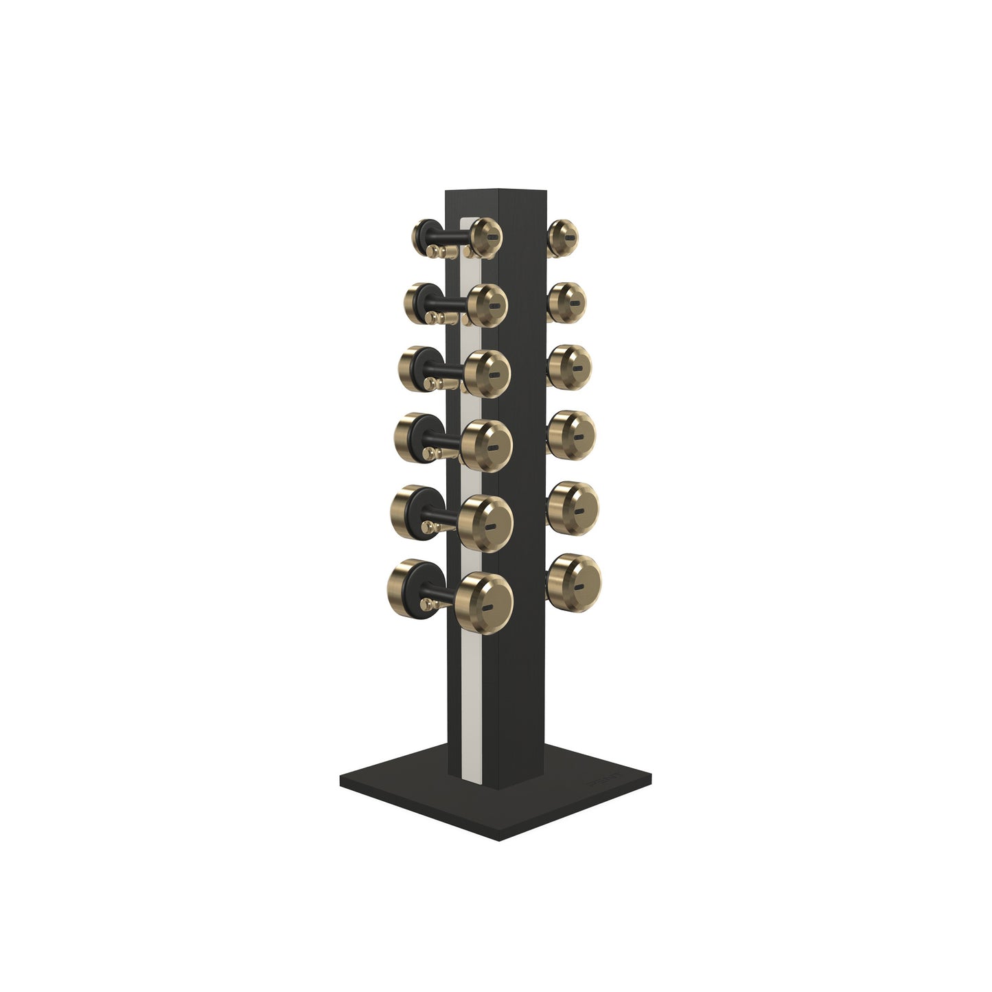 PENT. COLMIA Set - In Gold - Dumbbells on a Vertical Wooden Stand