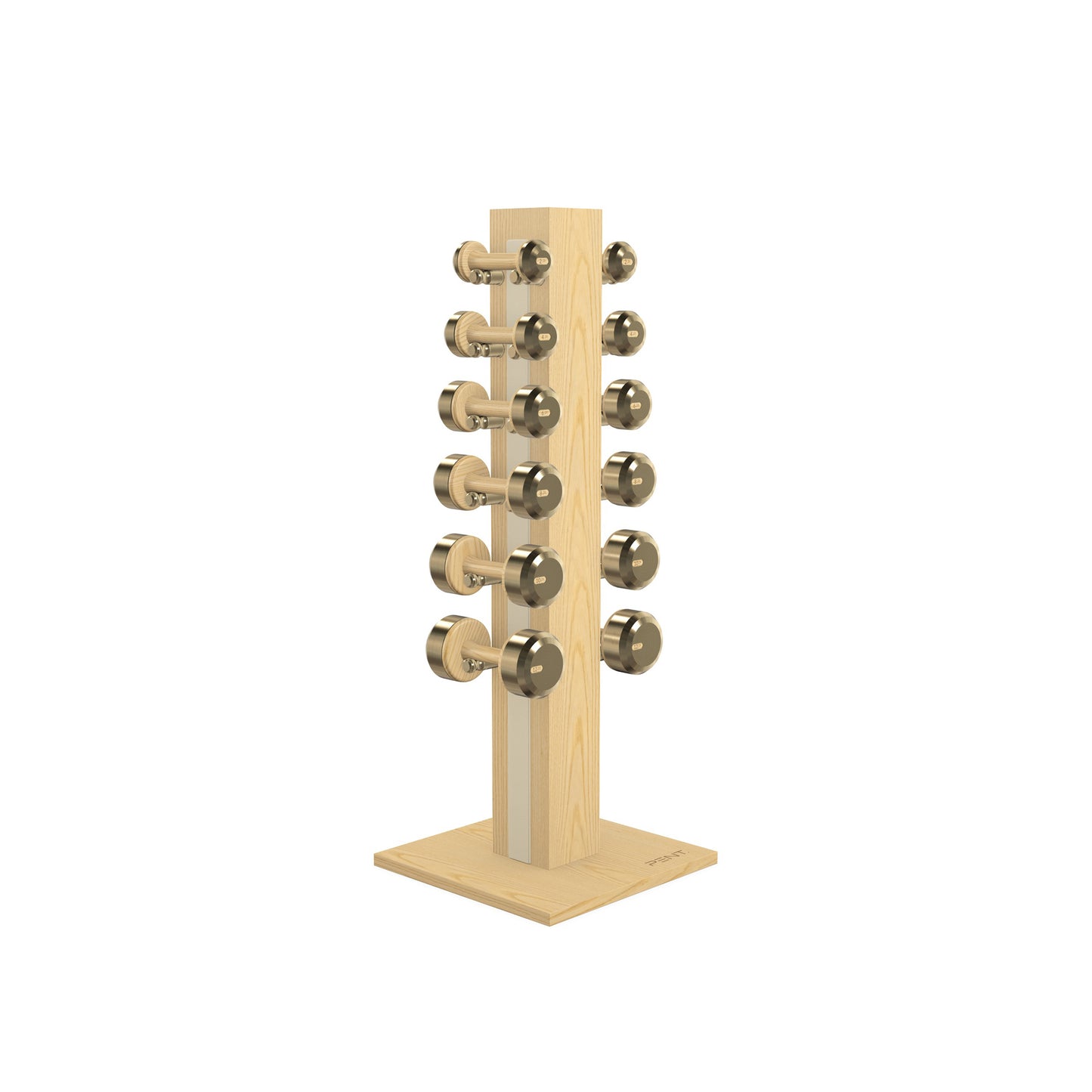 PENT. COLMIA Set - In Gold - Dumbbells on a Vertical Wooden Stand