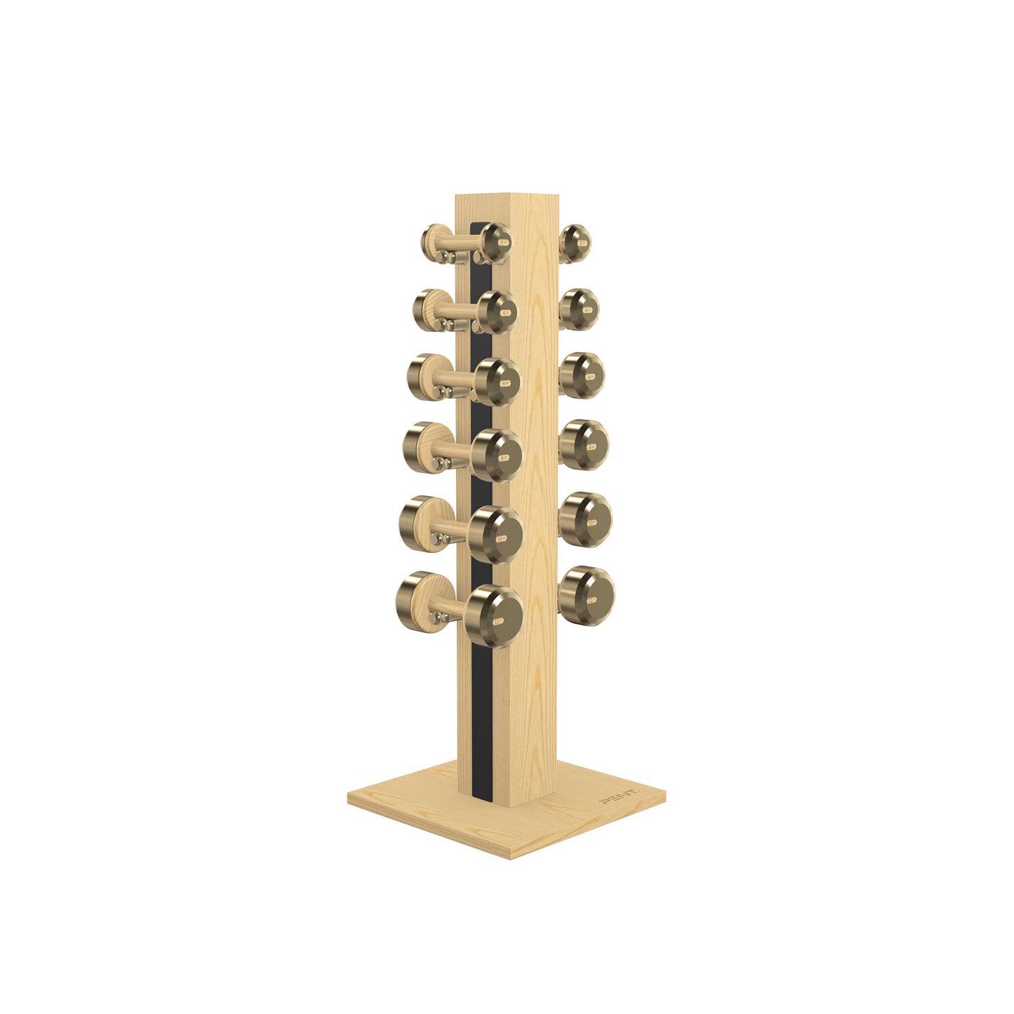 PENT. COLMIA Set - In Gold - Dumbbells on a Vertical Wooden Stand