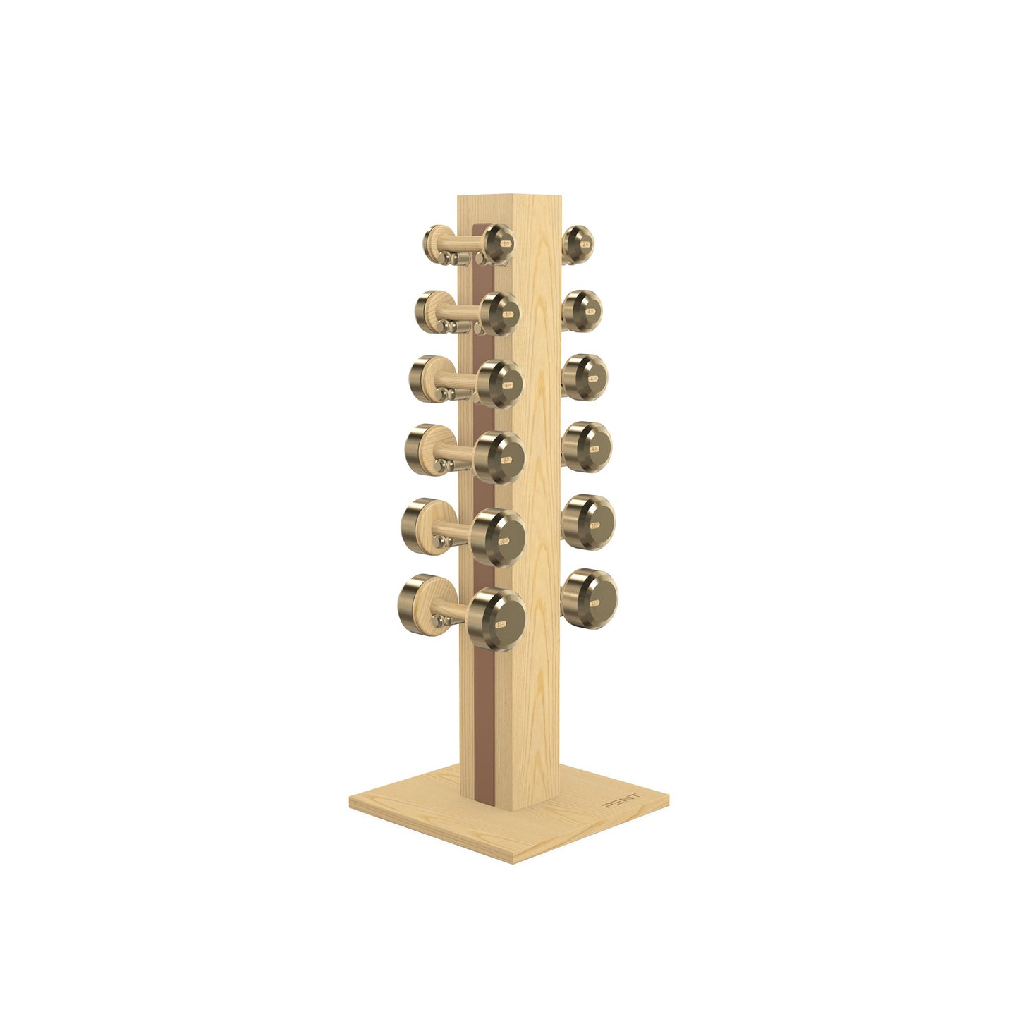PENT. COLMIA Set - In Gold - Dumbbells on a Vertical Wooden Stand