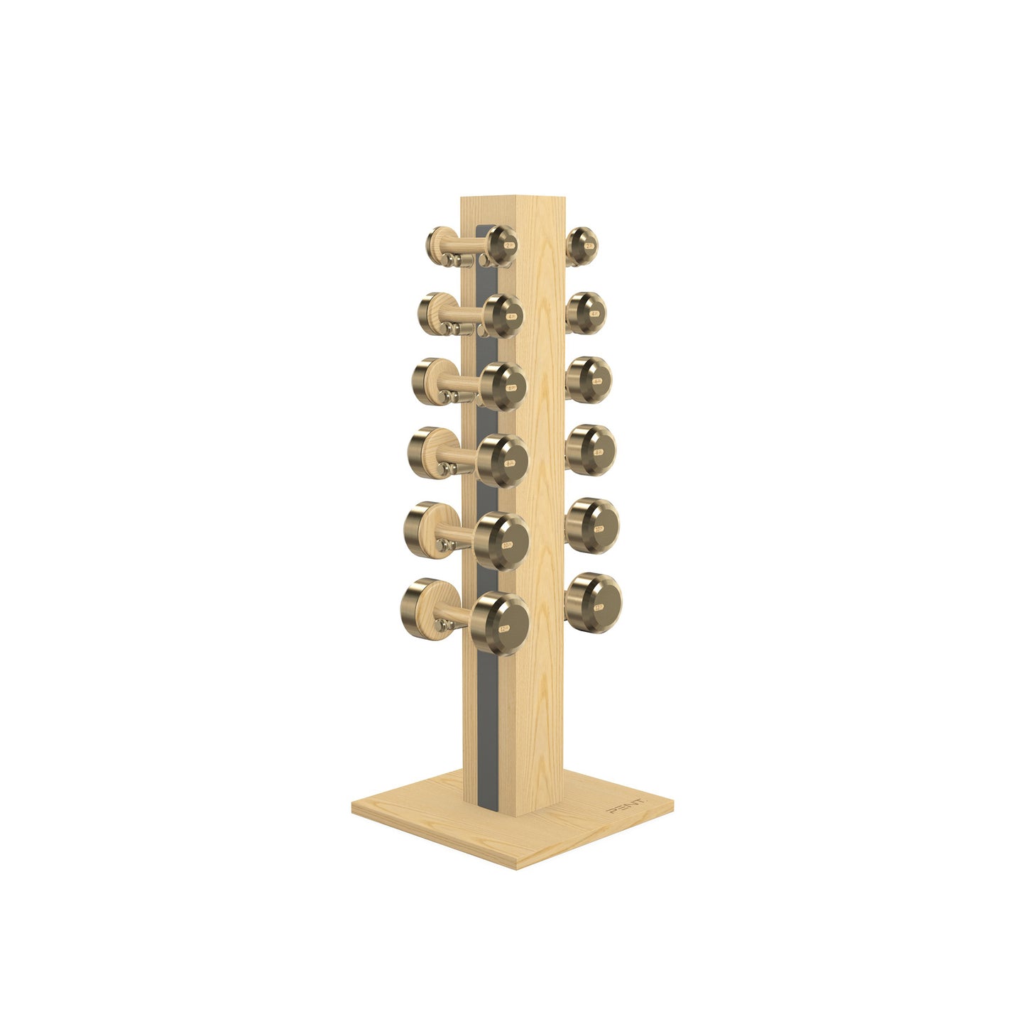 PENT. COLMIA Set - In Gold - Dumbbells on a Vertical Wooden Stand