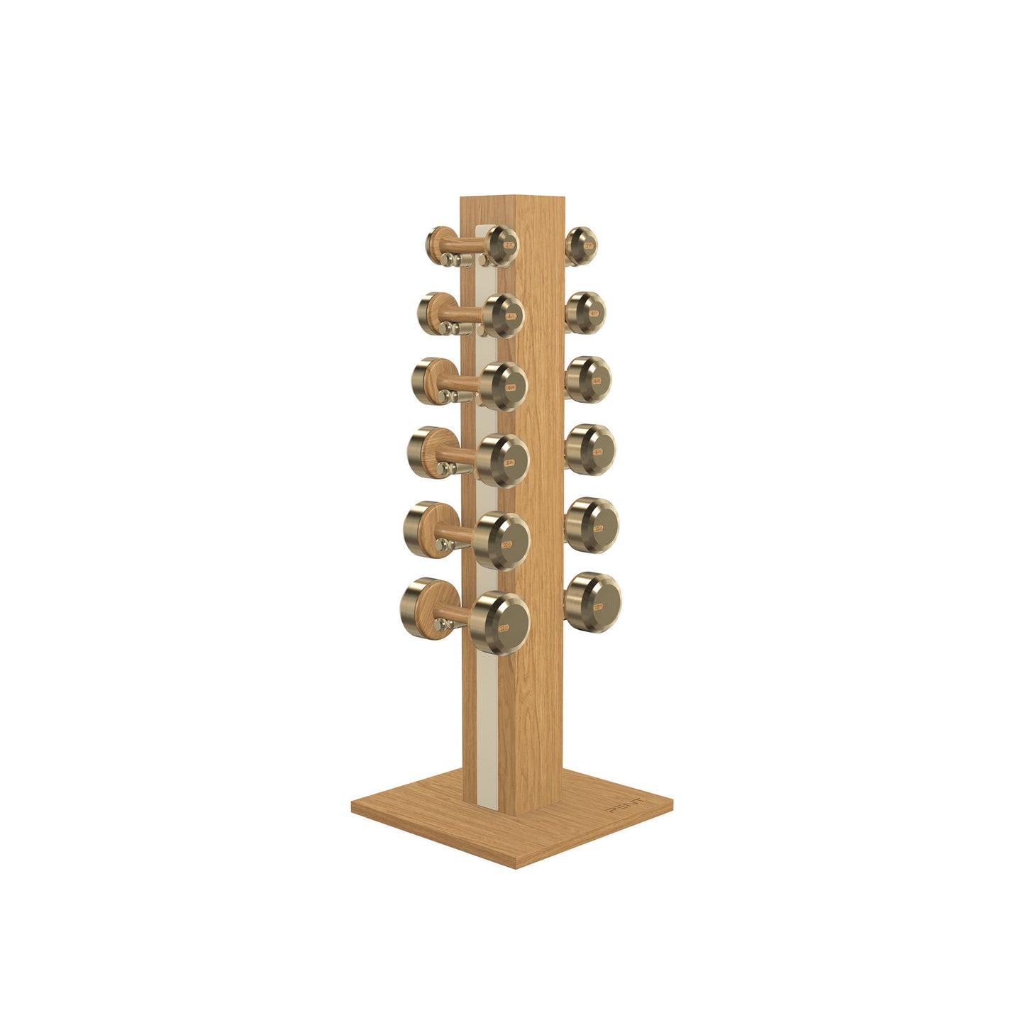 PENT. COLMIA Set - In Gold - Dumbbells on a Vertical Wooden Stand