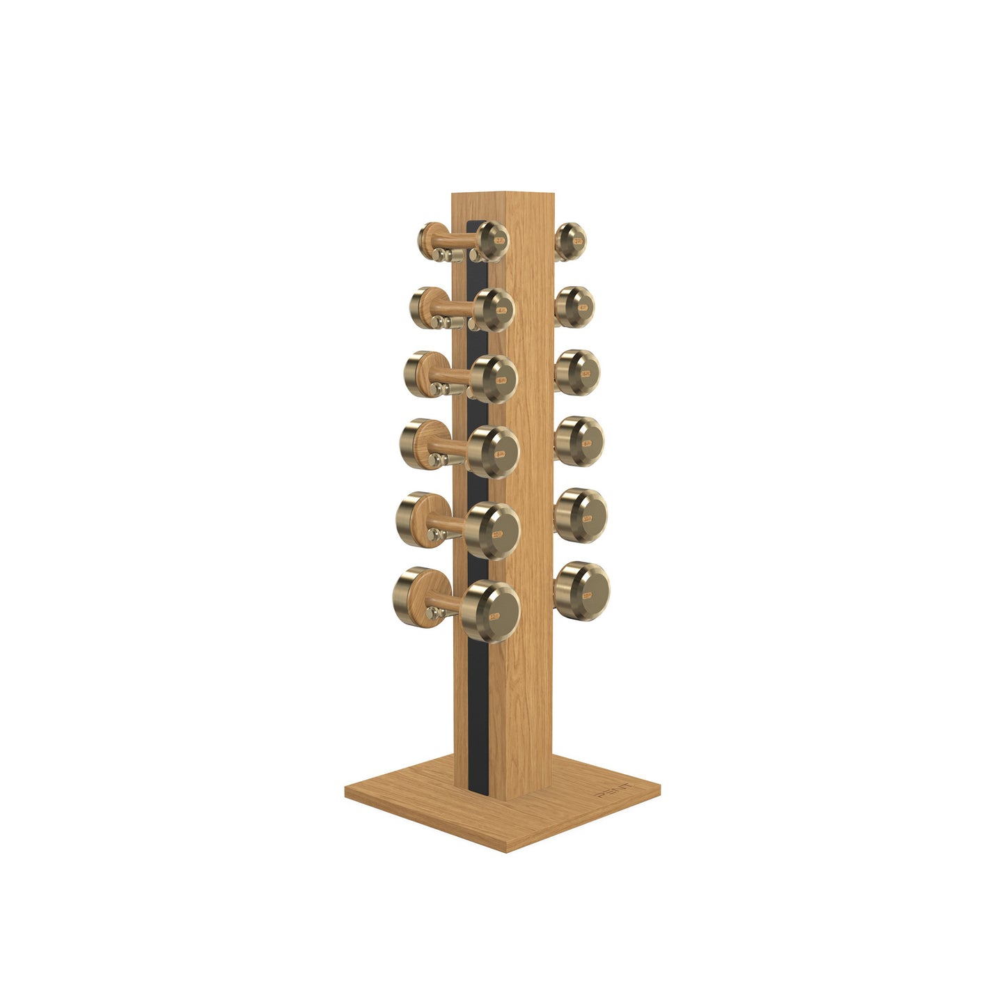 PENT. COLMIA Set - In Gold - Dumbbells on a Vertical Wooden Stand