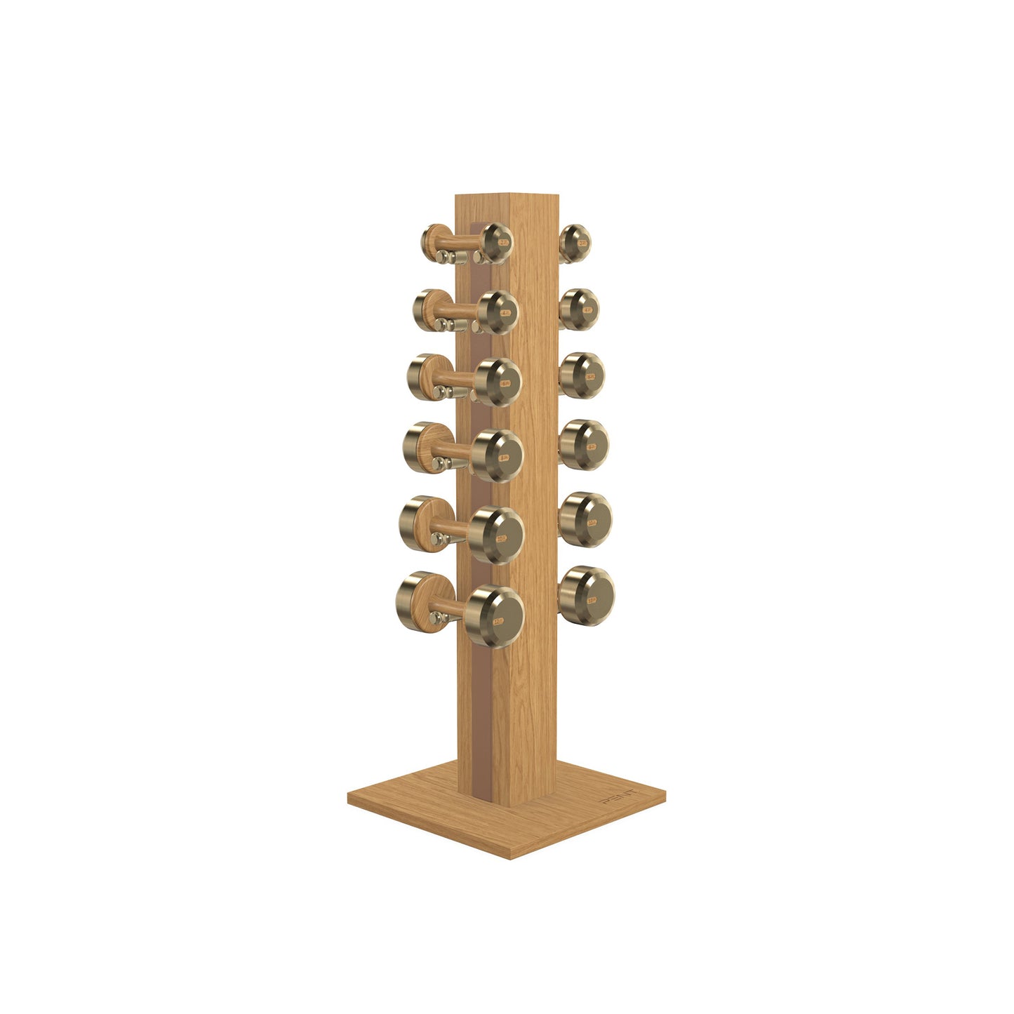 PENT. COLMIA Set - In Gold - Dumbbells on a Vertical Wooden Stand