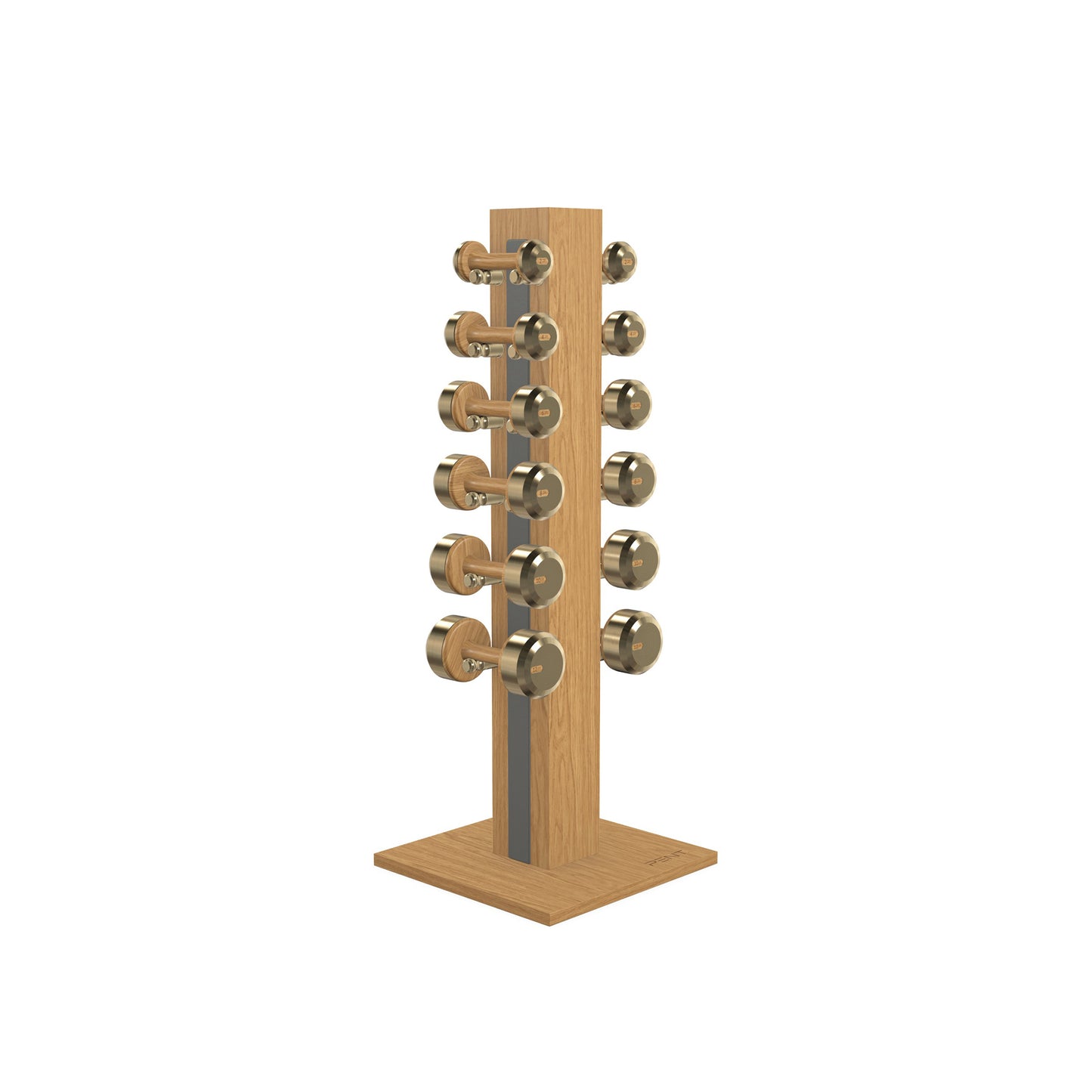 PENT. COLMIA Set - In Gold - Dumbbells on a Vertical Wooden Stand