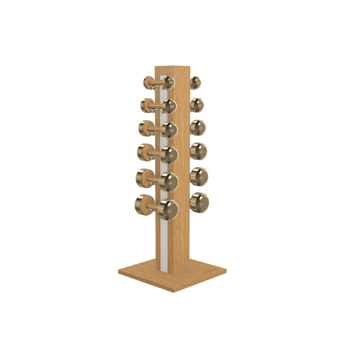 PENT. COLMIA Set - In Gold - Dumbbells on a Vertical Wooden Stand