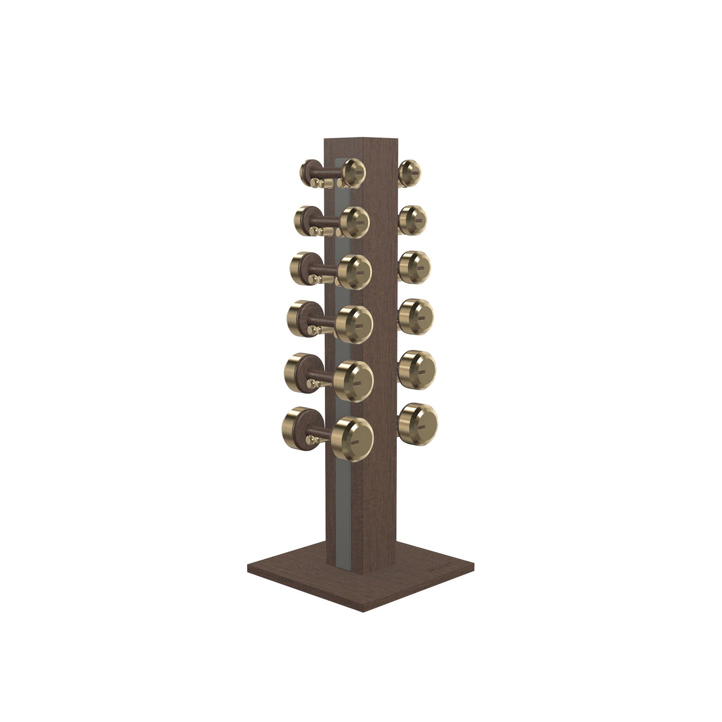 PENT. COLMIA Set - In Gold - Dumbbells on a Vertical Wooden Stand