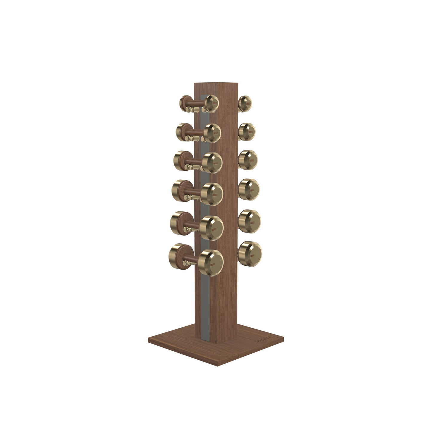 PENT. COLMIA Set - In Gold - Dumbbells on a Vertical Wooden Stand