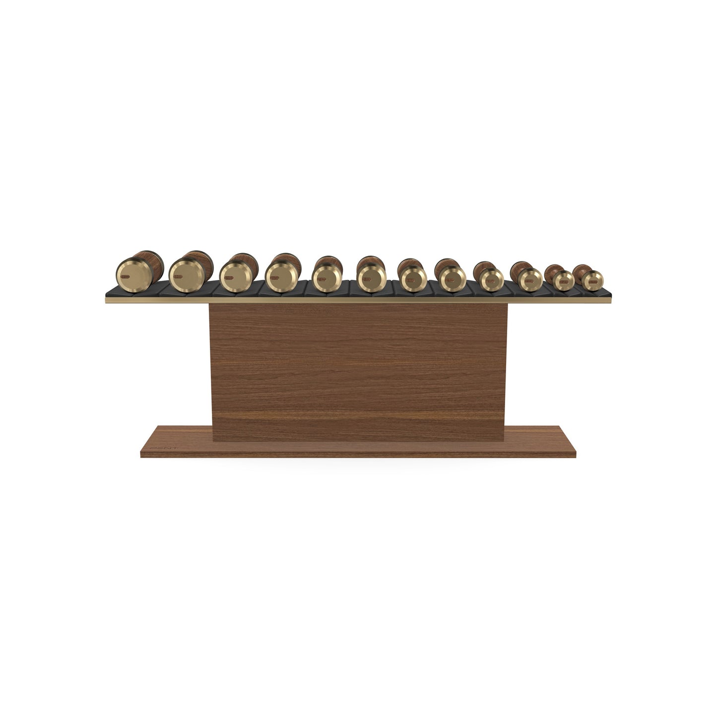 PENT. COLMIA Set - In Gold  - Dumbbells on a Horizontal Wooden Stand