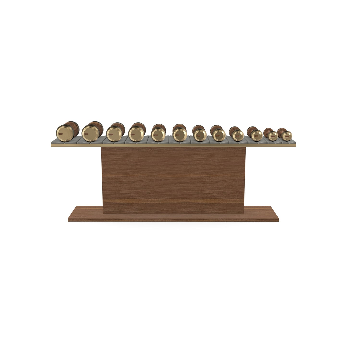 PENT. COLMIA Set - In Gold  - Dumbbells on a Horizontal Wooden Stand