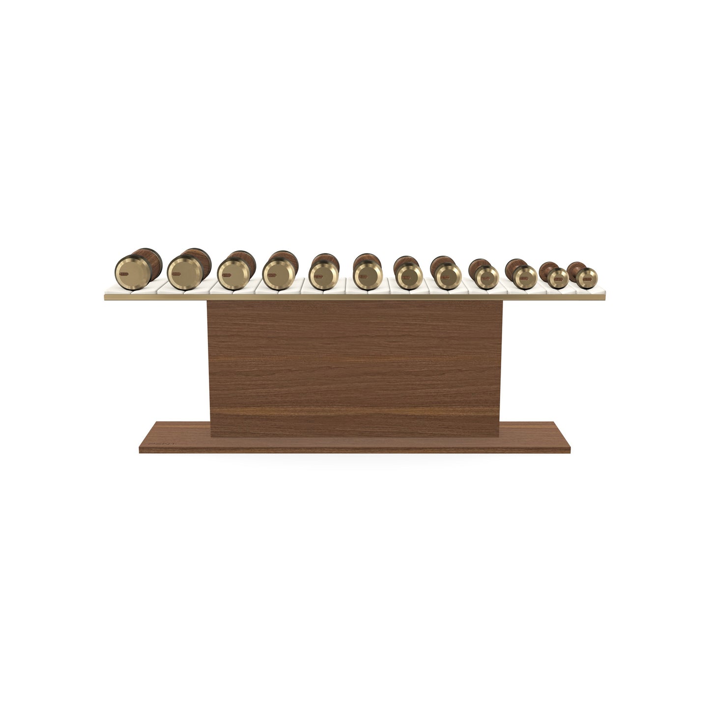 PENT. COLMIA Set - In Gold  - Dumbbells on a Horizontal Wooden Stand