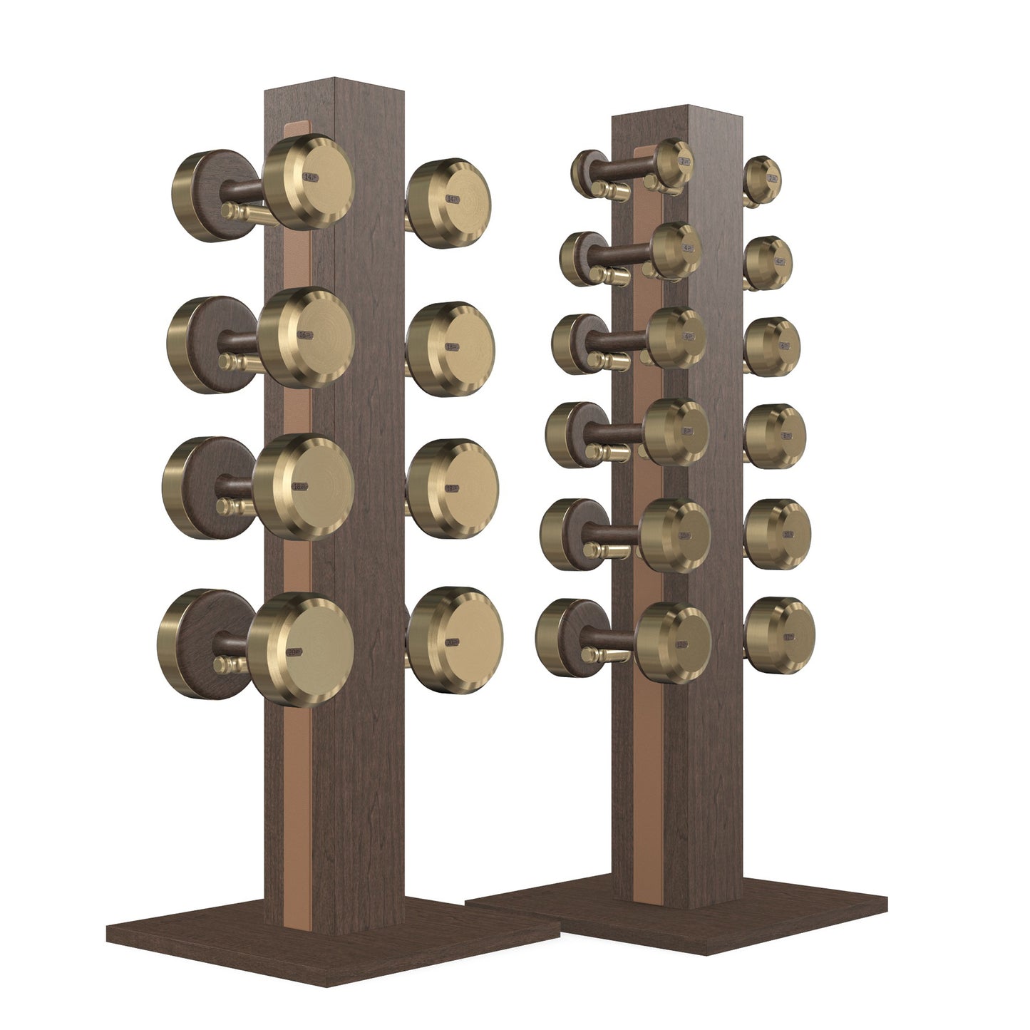 PENT. COLMIA Set - In Gold - Dumbbells on a Vertical Wooden Stand