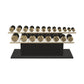 PENT. COLMIA Set - In Gold  - Dumbbells on a Horizontal Wooden Stand