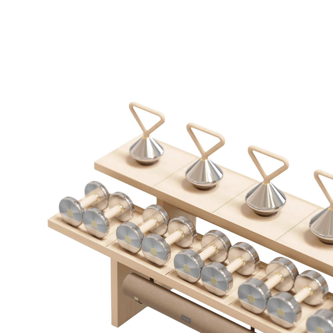 Four pairs of dumbbells (2–5 kg) with maple handles and stainless steel ends.