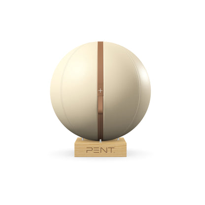 Luxury fitness equipment, fitness ball wrapped in luxurious leather and paired with a compact wooden stand. Customize in beige base leather, brown accent leather and natural ash wood. PENT. MESNA