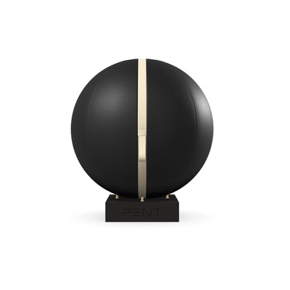PENT. MESNA - In Gold - Premium Leather Fitness Ball