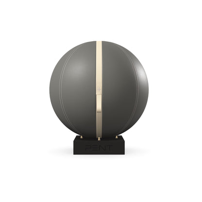 PENT. MESNA - In Gold - Premium Leather Fitness Ball