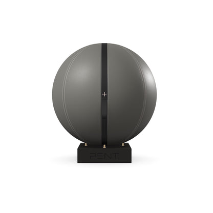 PENT. MESNA - In Gold - Premium Leather Fitness Ball
