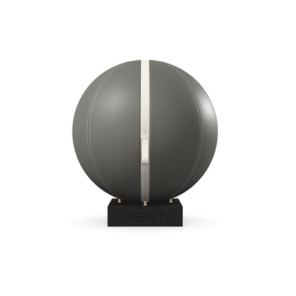 PENT. MESNA - In Gold - Premium Leather Fitness Ball