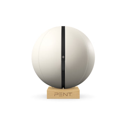 PENT. MESNA - In Gold - Premium Leather Fitness Ball