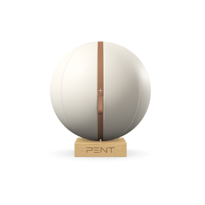PENT. MESNA - In Gold - Premium Leather Fitness Ball