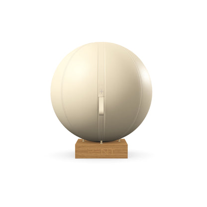 PENT. MESNA - In Gold - Premium Leather Fitness Ball