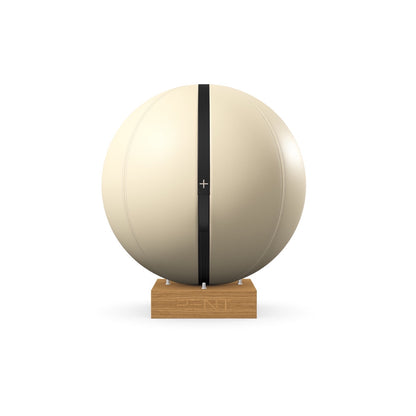 PENT. MESNA - Premium Leather Fitness Ball