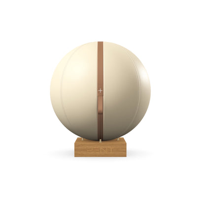 PENT. MESNA - In Gold - Premium Leather Fitness Ball