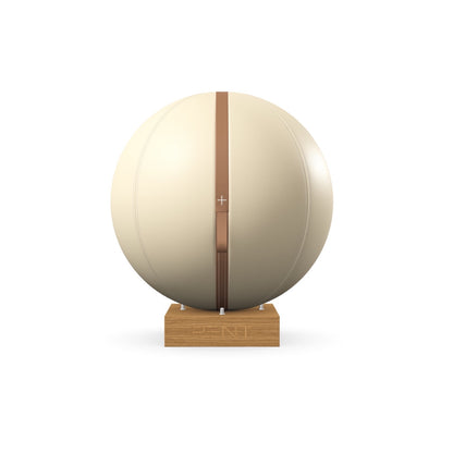 PENT. MESNA - Premium Leather Fitness Ball
