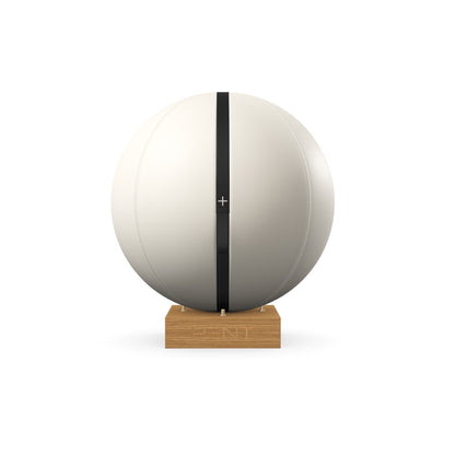 PENT. MESNA - In Gold - Premium Leather Fitness Ball