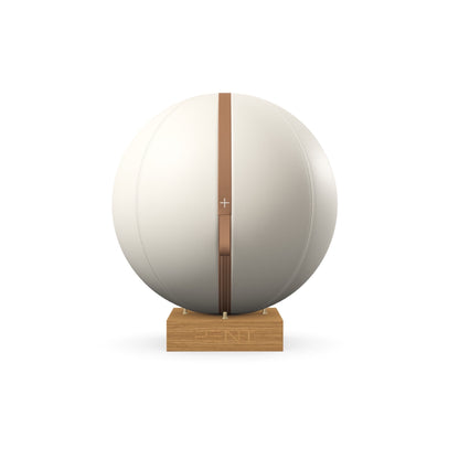PENT. MESNA - In Gold - Premium Leather Fitness Ball