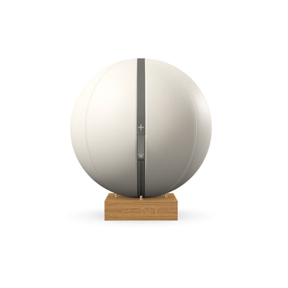 PENT. MESNA - In Gold - Premium Leather Fitness Ball