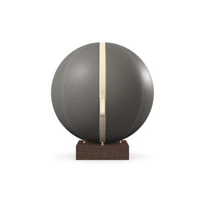 PENT. MESNA - In Gold - Premium Leather Fitness Ball