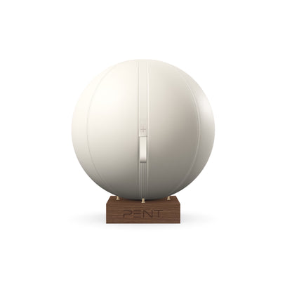 PENT. MESNA - In Gold - Premium Leather Fitness Ball