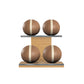 PENT. MOXA Light - Set of 4 Medicine Balls on Horizontal Wooden Stand - 4, 8, 12, 16 KG