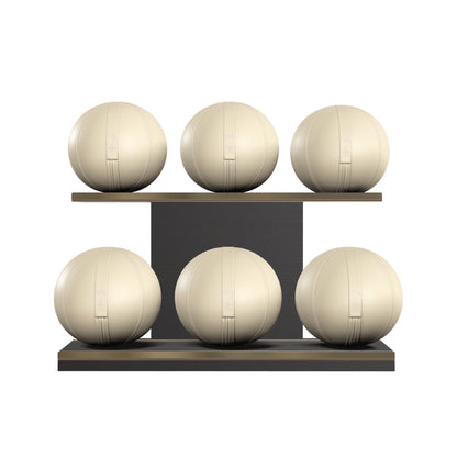 PENT. MOXA Set Ultimate - In Gold - Set of 6 Medicine Balls on Horizontal Wooden Stand - 4, 8, 12, 16, 20, 24 KG