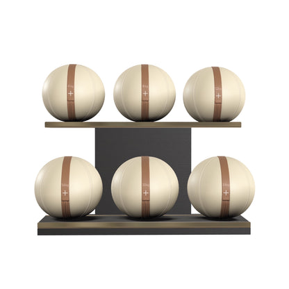 PENT. MOXA Set Ultimate - In Gold - Set of 6 Medicine Balls on Horizontal Wooden Stand - 4, 8, 12, 16, 20, 24 KG
