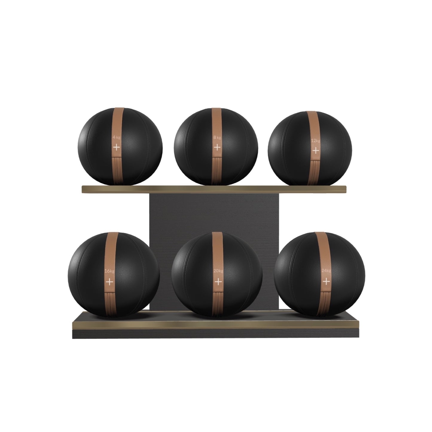PENT. MOXA Set Ultimate - In Gold - Set of 6 Medicine Balls on Horizontal Wooden Stand - 4, 8, 12, 16, 20, 24 KG