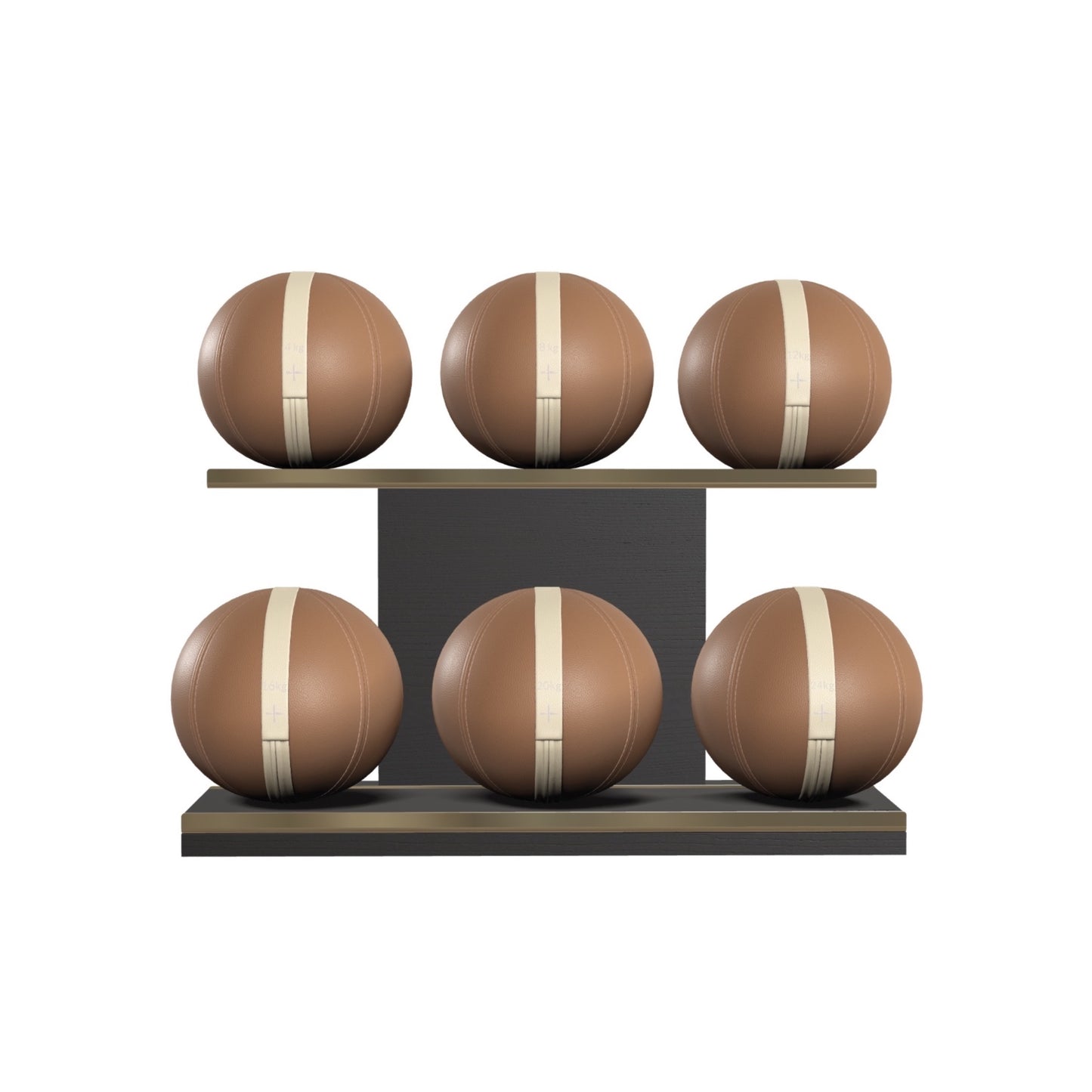 PENT. MOXA Set Ultimate - In Gold - Set of 6 Medicine Balls on Horizontal Wooden Stand - 4, 8, 12, 16, 20, 24 KG