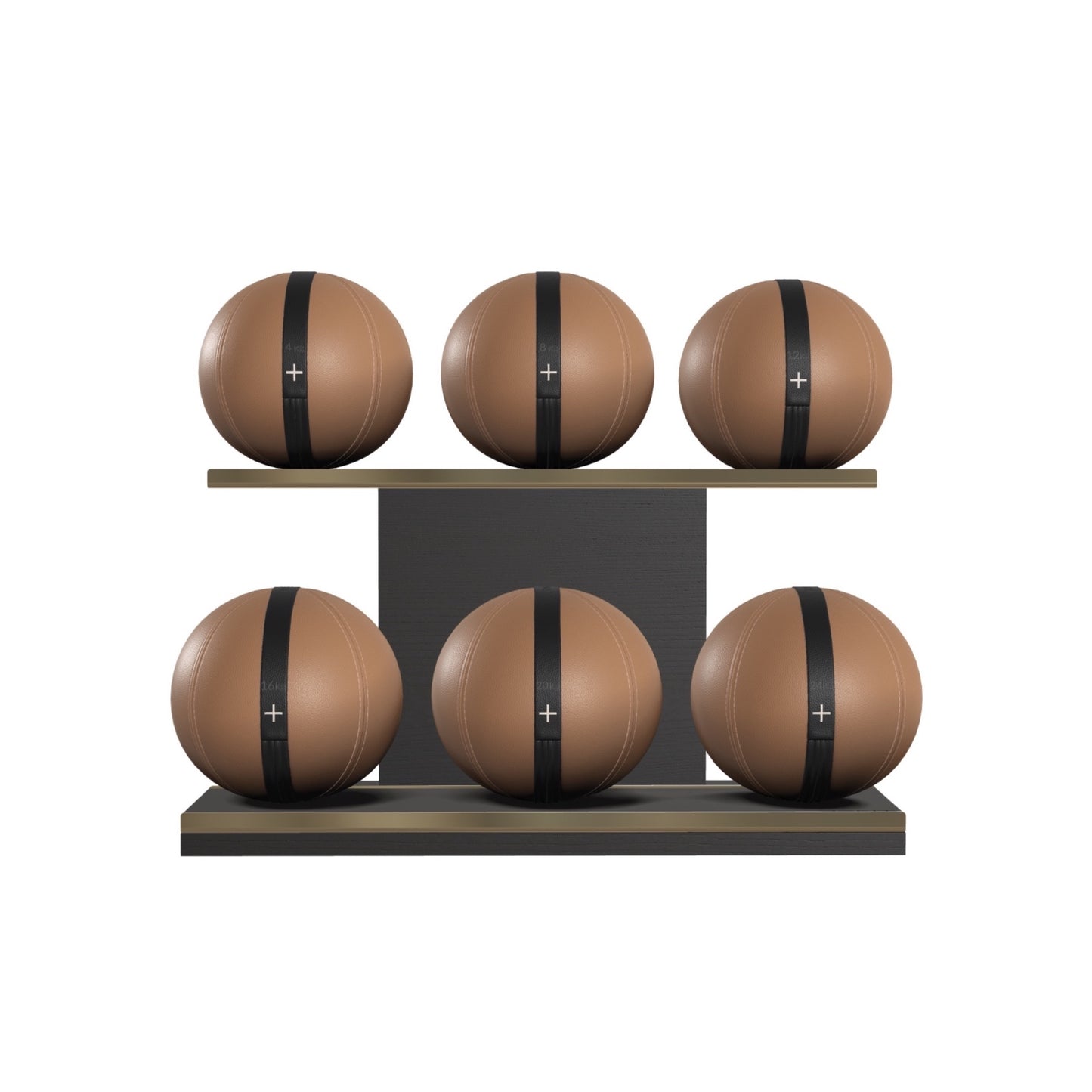 PENT. MOXA Set Ultimate - In Gold - Set of 6 Medicine Balls on Horizontal Wooden Stand - 4, 8, 12, 16, 20, 24 KG