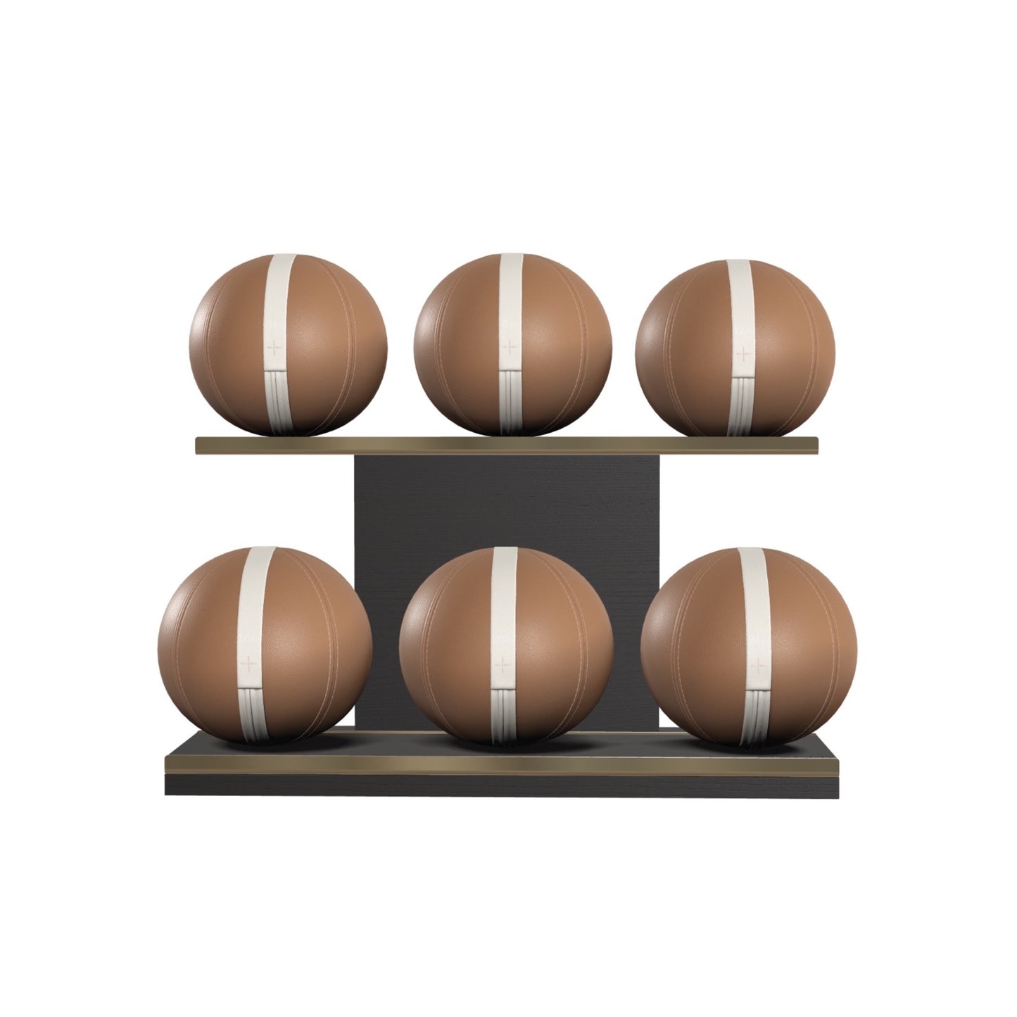 PENT. MOXA Set Ultimate - In Gold - Set of 6 Medicine Balls on Horizontal Wooden Stand - 4, 8, 12, 16, 20, 24 KG