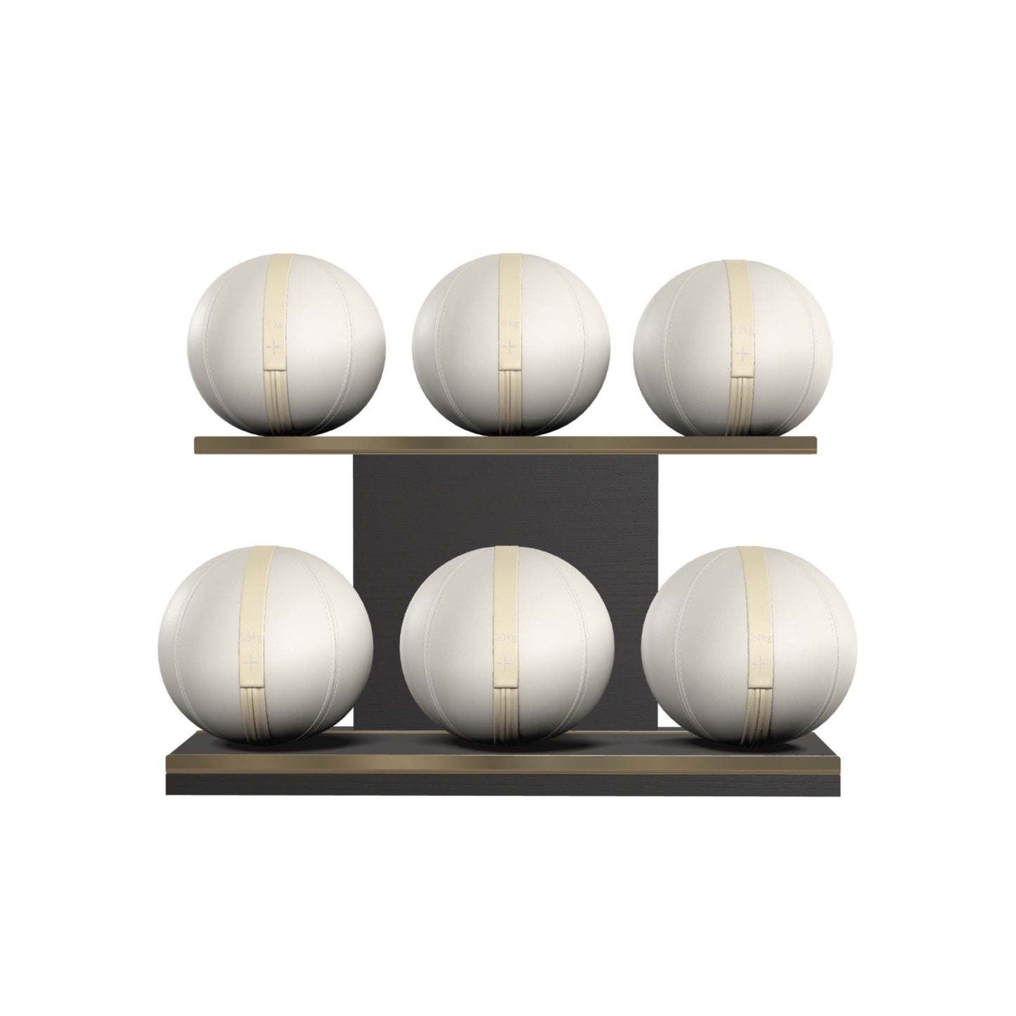 PENT. MOXA Set Ultimate - In Gold - Set of 6 Medicine Balls on Horizontal Wooden Stand - 4, 8, 12, 16, 20, 24 KG