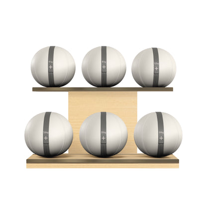 PENT. MOXA Set Ultimate - In Gold - Set of 6 Medicine Balls on Horizontal Wooden Stand - 4, 8, 12, 16, 20, 24 KG