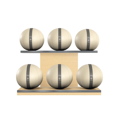 PENT. MOXA Set Ultimate - Set of 6 Medicine Balls on Horizontal Wooden Stand - 4, 8, 12, 16, 20, 24 KG