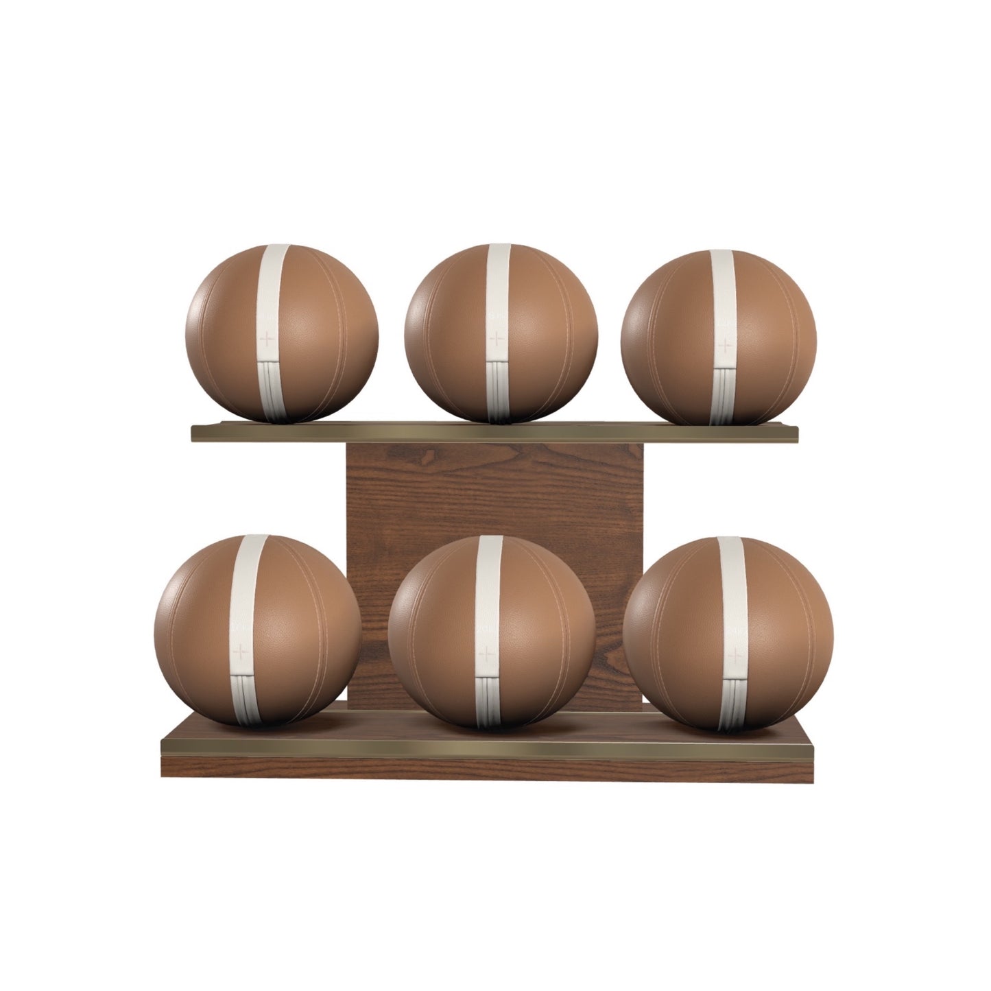 PENT. MOXA Set Ultimate - In Gold - Set of 6 Medicine Balls on Horizontal Wooden Stand - 4, 8, 12, 16, 20, 24 KG