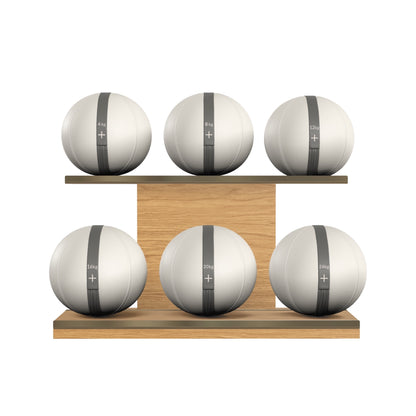 PENT. MOXA Set Ultimate - In Gold - Set of 6 Medicine Balls on Horizontal Wooden Stand - 4, 8, 12, 16, 20, 24 KG
